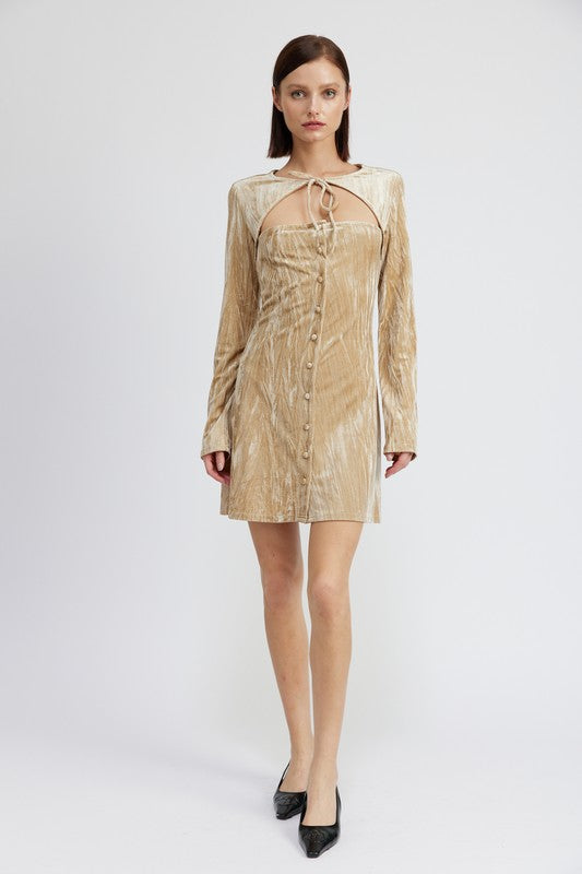 Long Sleeve Mini Suede Dress - Emory Park