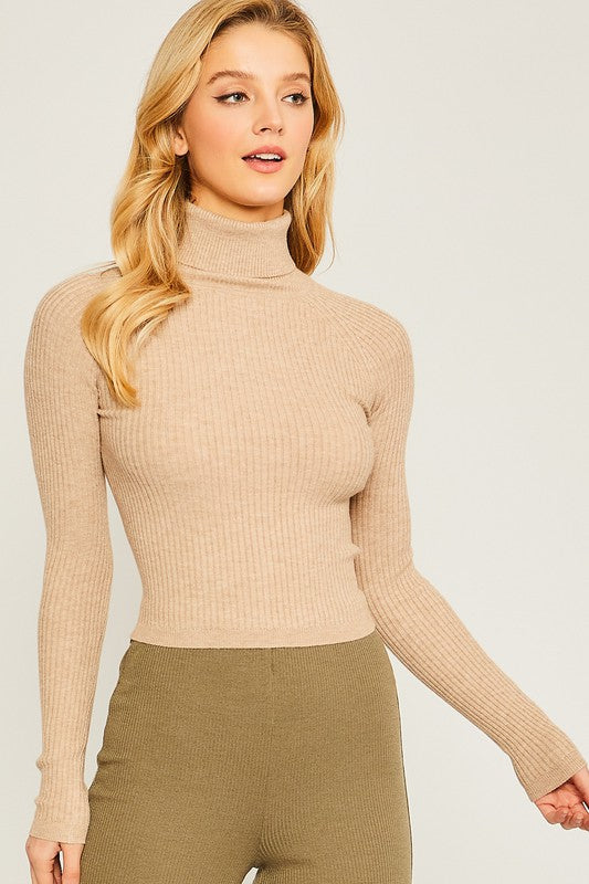 Turtleneck Ribbed Knit Sweater Top - Love Tree