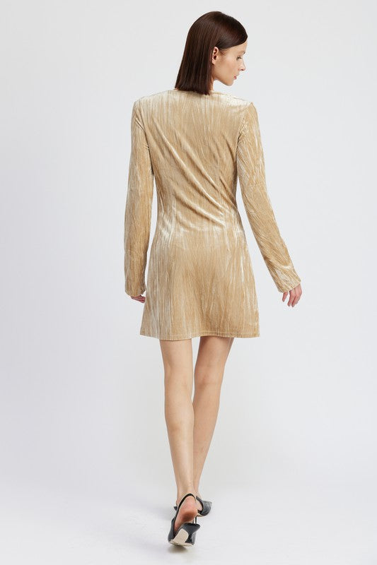 Long Sleeve Mini Suede Dress - Emory Park