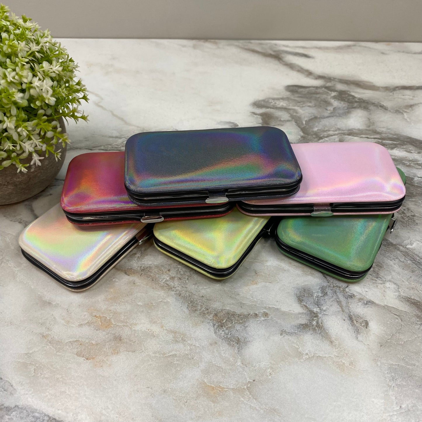 Manicure Nail Case & Set - Solid Holographic